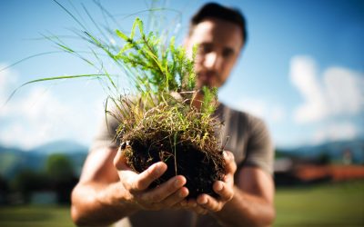 Allgäu GmbH: Mit Herz, Hand und Hirn – Angebote für mehr Naturbewusstsein