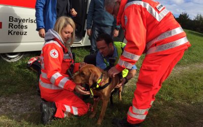Spendenregen zum Frühlingsbeginn