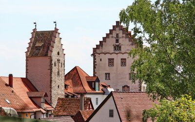 Business Night Bodensee – Green Edition