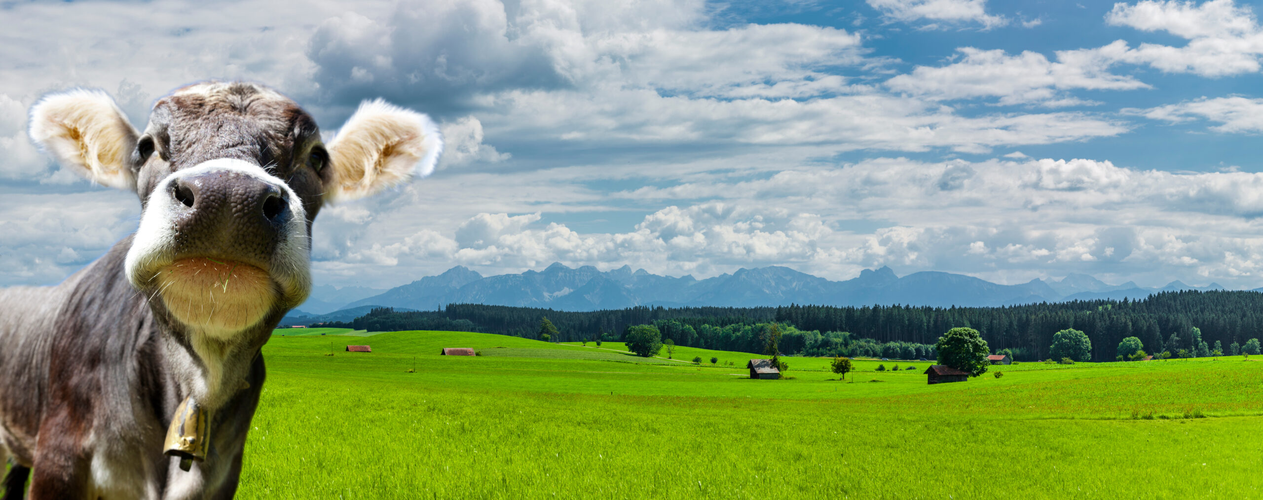 Warum viele starke Unternehmen im Allgäu kaum bekannt sind und wie Sie durch regionale Sichtbarkeit mehr Kunden und Bewerber gewinnen.
