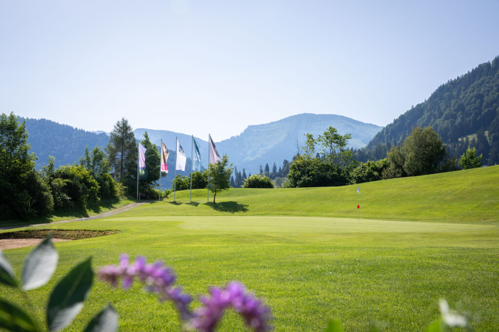 Fairways des Golfclubs Oberstaufen Steibis mit Blick auf die Allgäuer Alpen sowie Golfspieler auf der 18-Loch-Golfanlage.