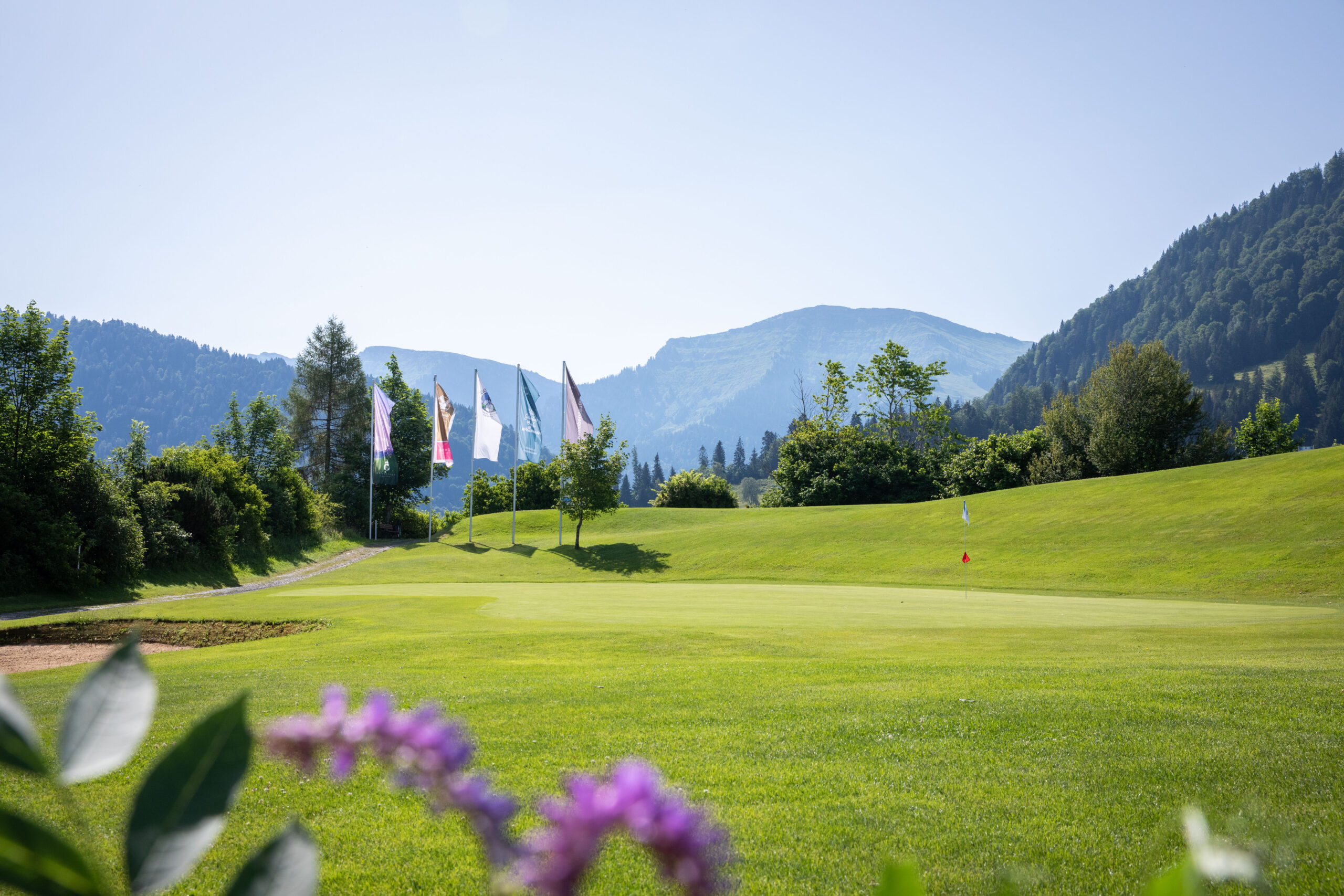 Fairways des Golfclubs Oberstaufen Steibis mit Blick auf die Allgäuer Alpen sowie Golfspieler auf der 18-Loch-Golfanlage.